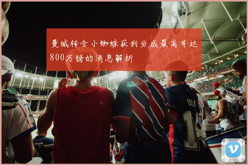 曼城转会小蜘蛛获利分成最高可达800万镑的消息解析